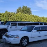 Limo Service